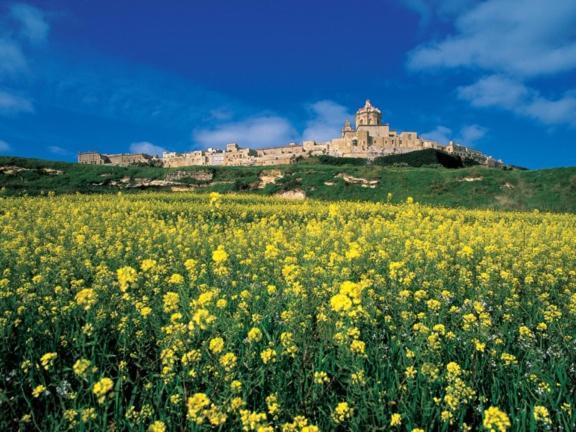 Stylish Bright And Airy Apart In Central Bugibba San Pawl il-Baħar Extérieur photo